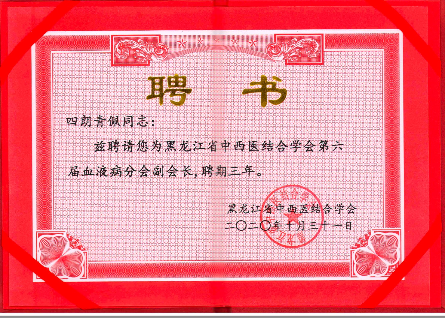 聘书：黑龙江省中西医结合学会血液病分会副会长