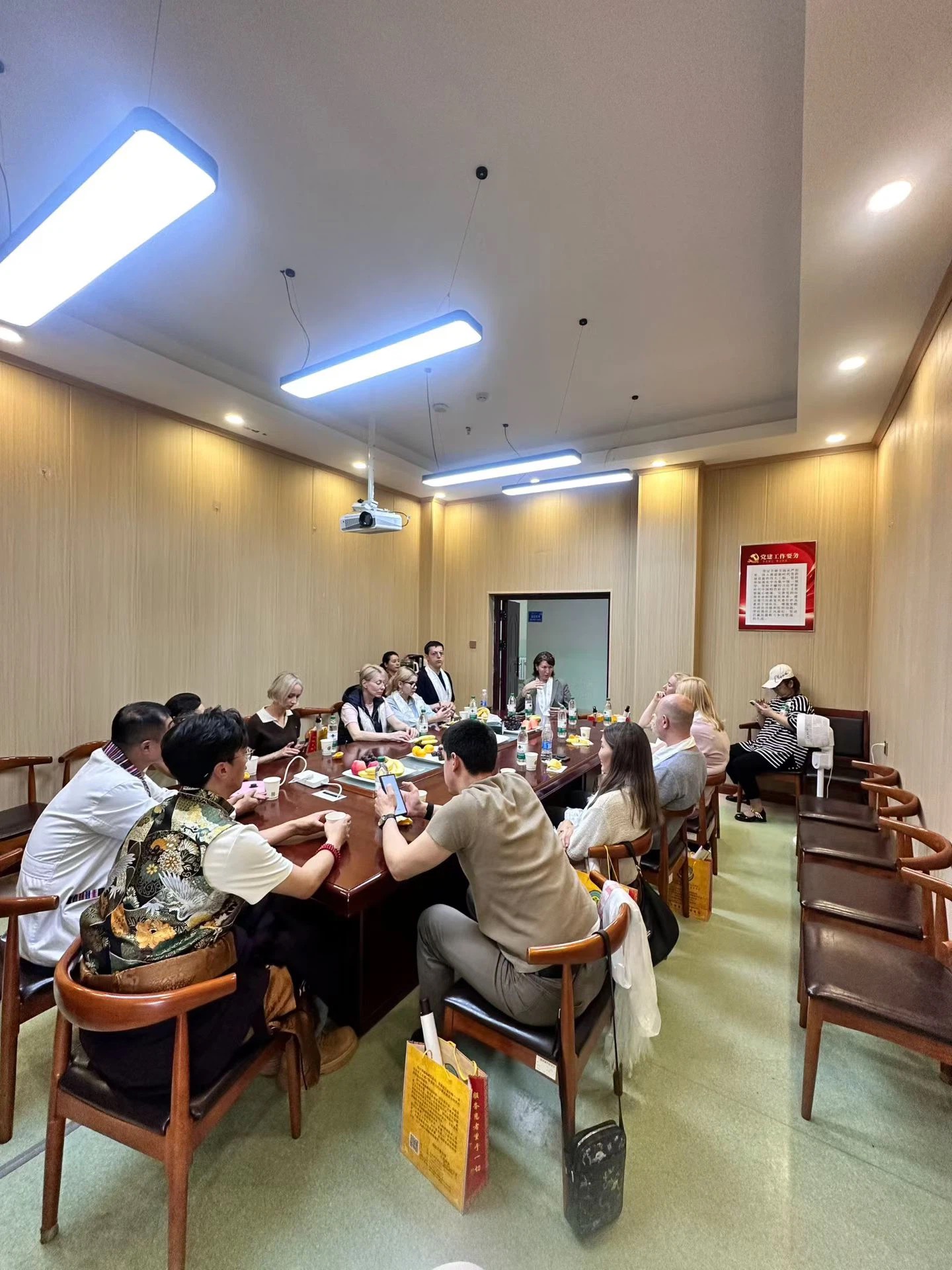 外宾座谈会全景